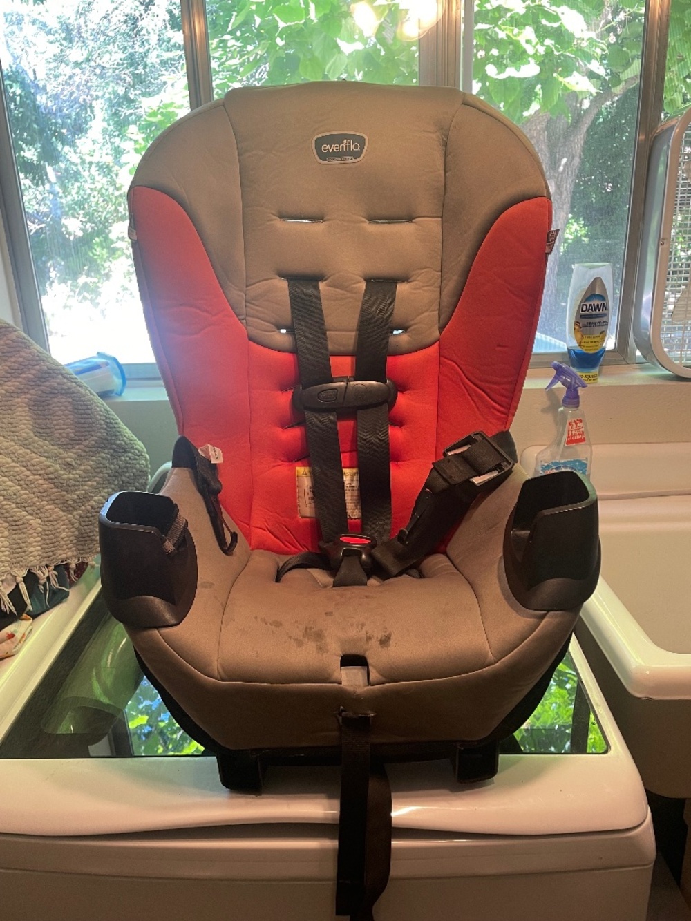 Evenflo Sonus Convertible Car Seat